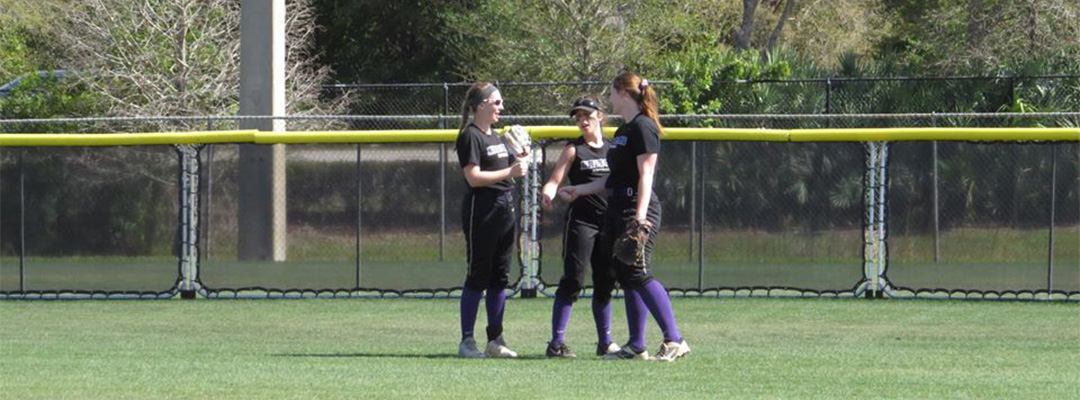 Albion College Softball Slide 4